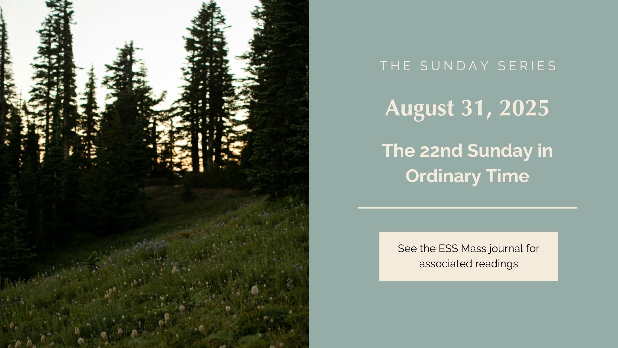 August 31, 2025: Twenty-Second Sunday in Ordinary Time