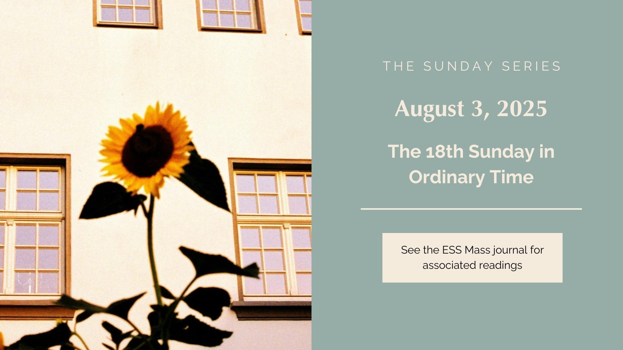 August 3, 2025: Eighteenth Sunday in Ordinary Time