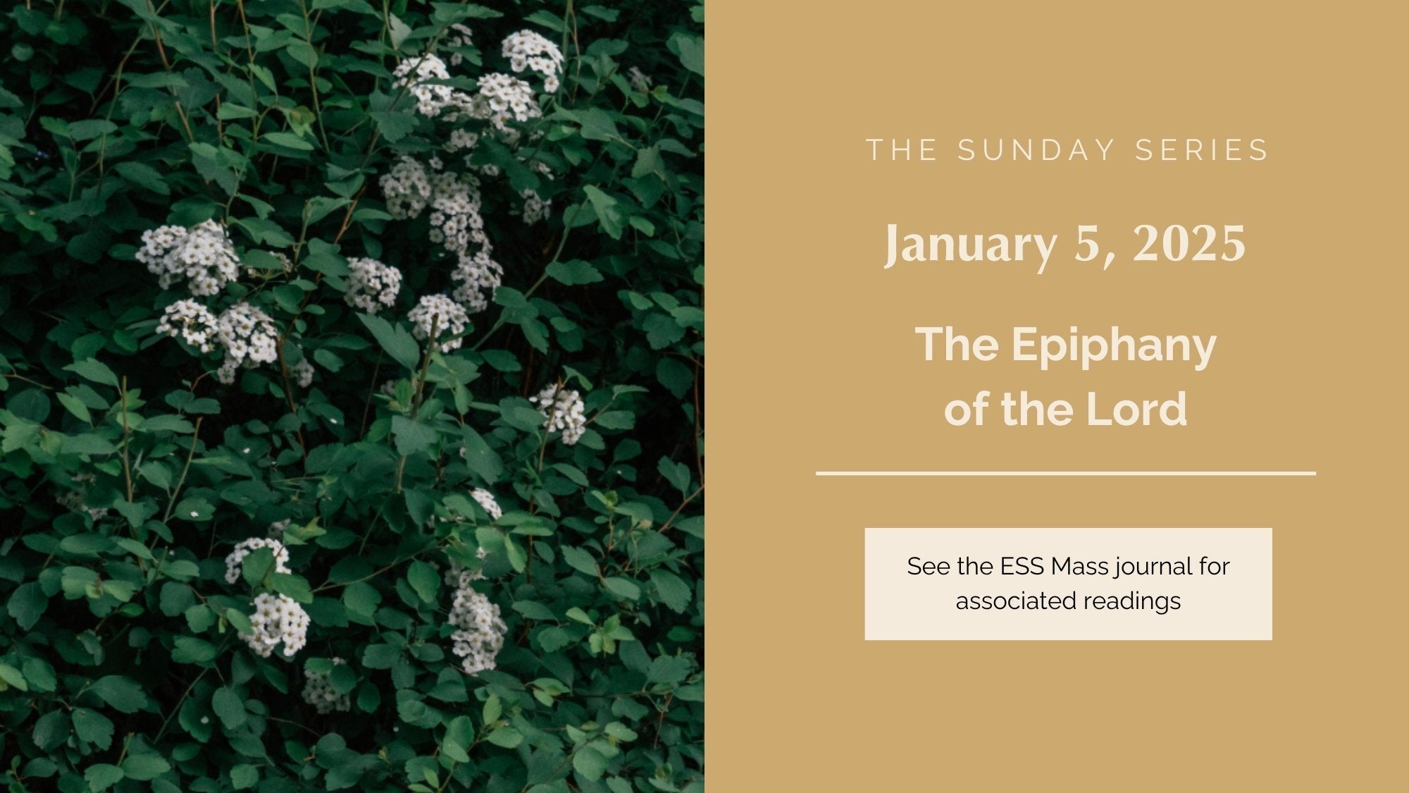 January 5, 2025: The Epiphany of the Lord