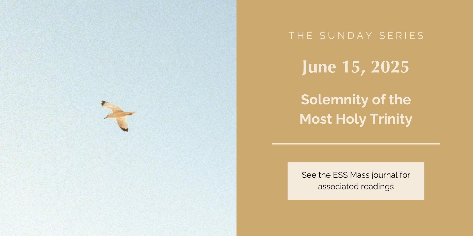 June 15, 2025: Solemnity of the Most Holy Trinity