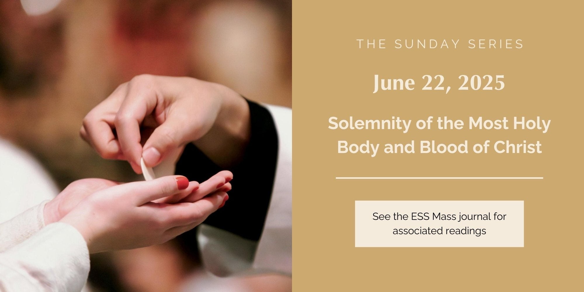 June 22, 2025: Solemnity of the Most Holy Body and Blood of Christ