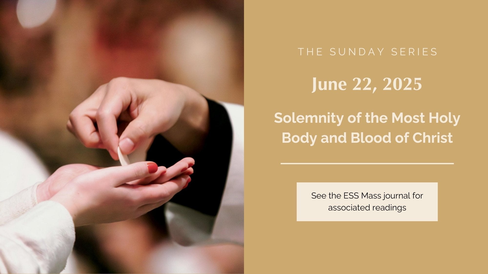 June 22, 2025: Solemnity of the Most Holy Body and Blood of Christ