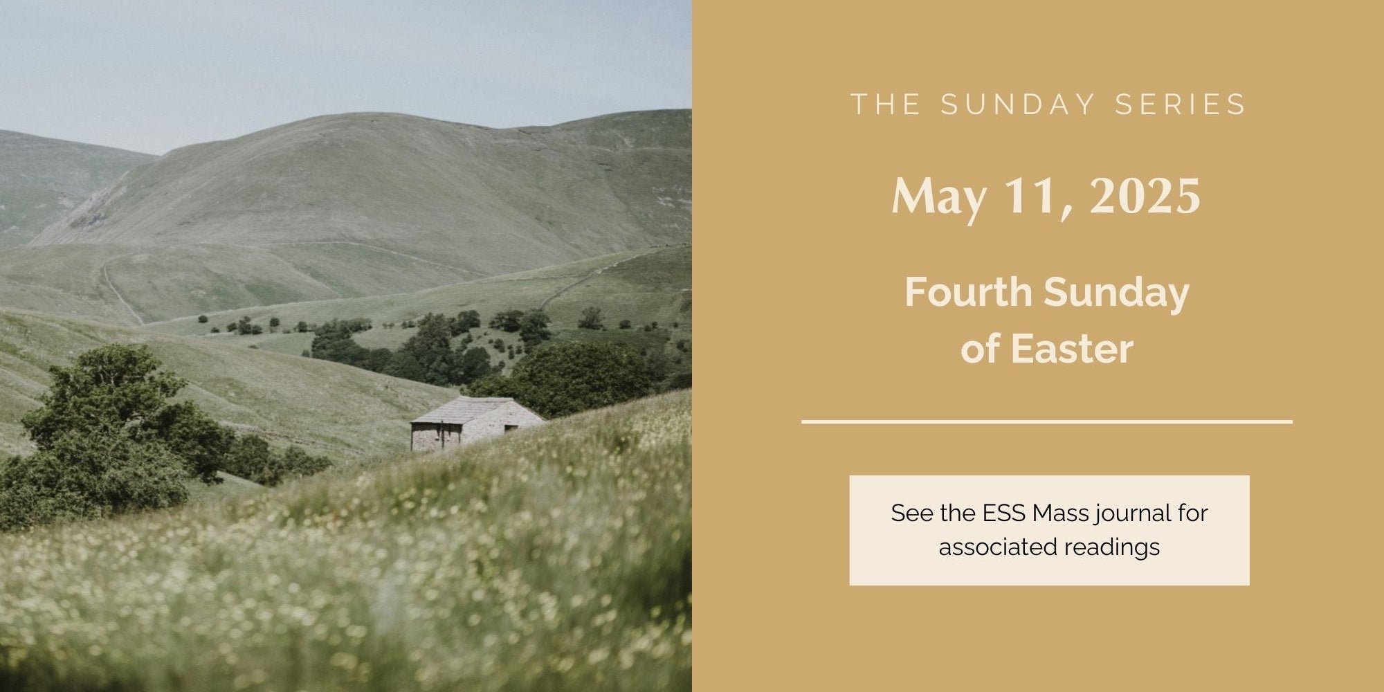 May 11, 2025: Fourth Sunday of Easter