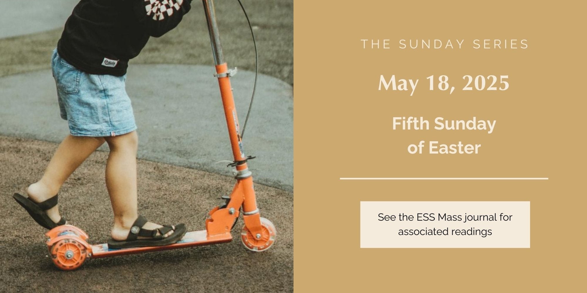 May 18, 2025: Fifth Sunday of Easter