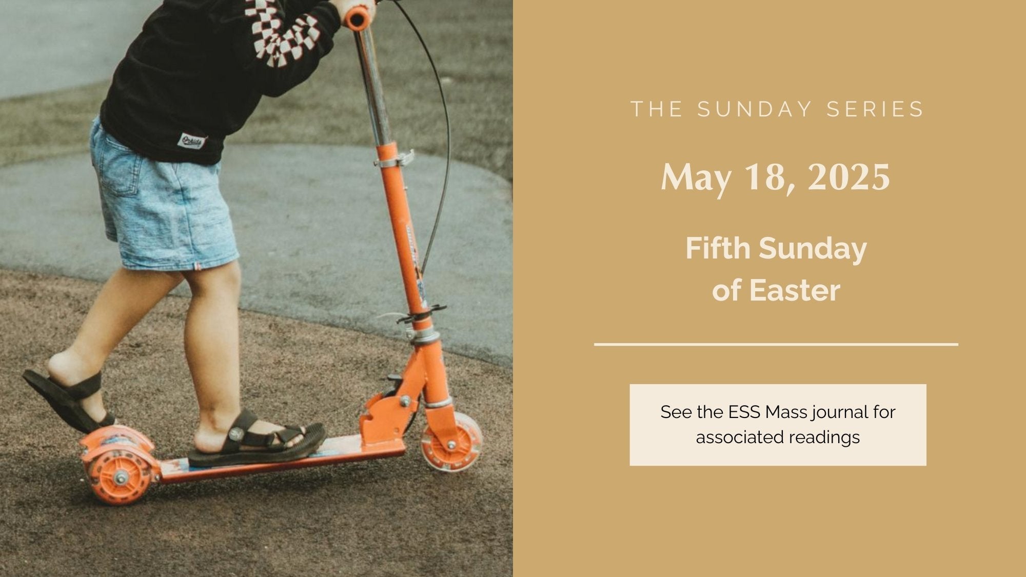 May 18, 2025: Fifth Sunday of Easter