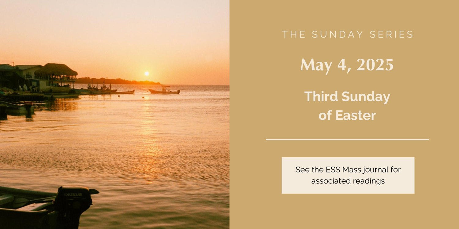 May 4, 2025: Third Sunday of Easter
