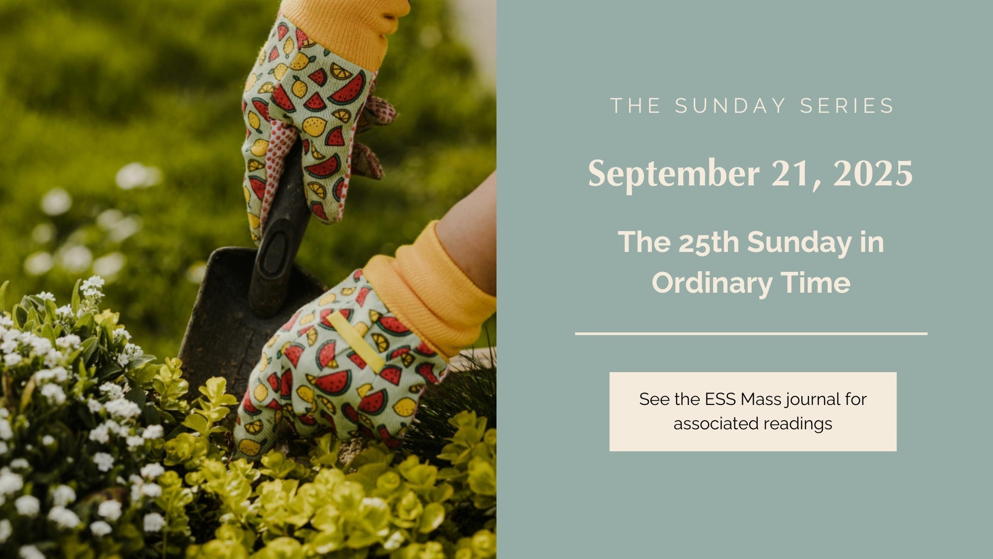 September 21, 2025: Twenty-Fifth Sunday in Ordinary Time