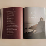 Catechism of the Catholic Church