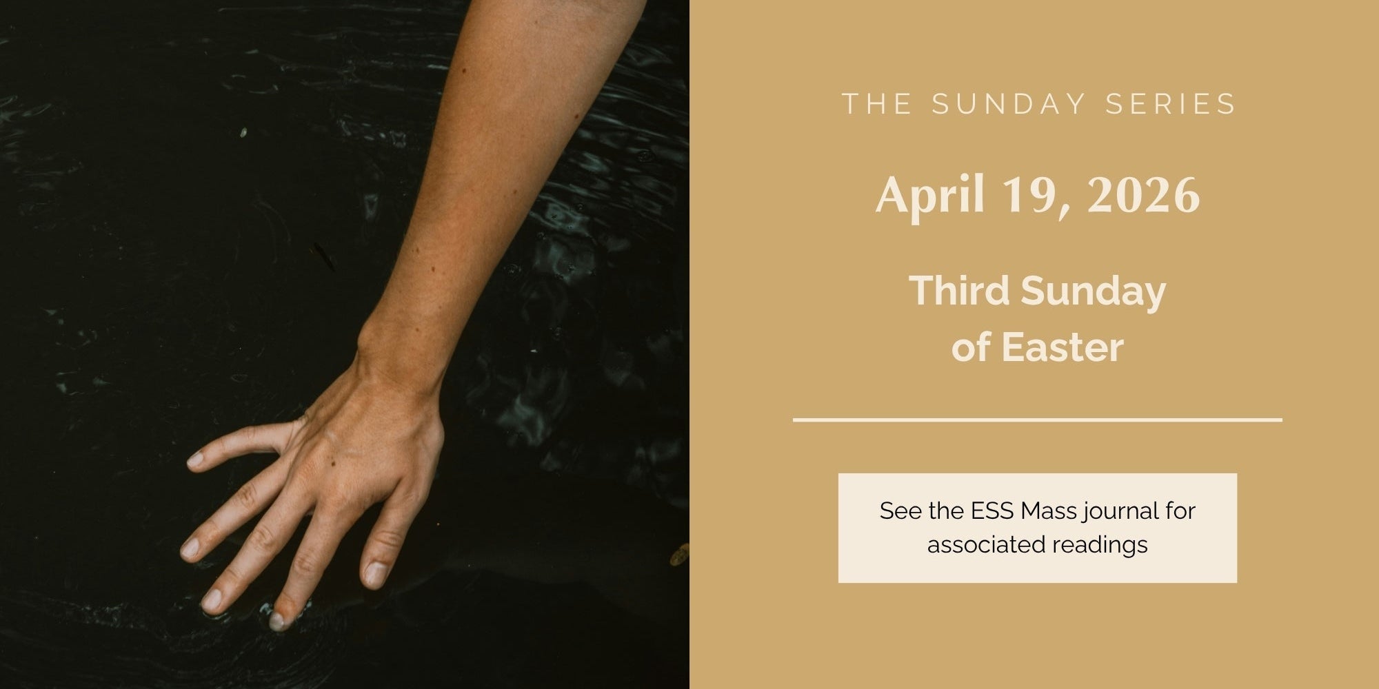 April 19, 2026: Third Sunday of Easter