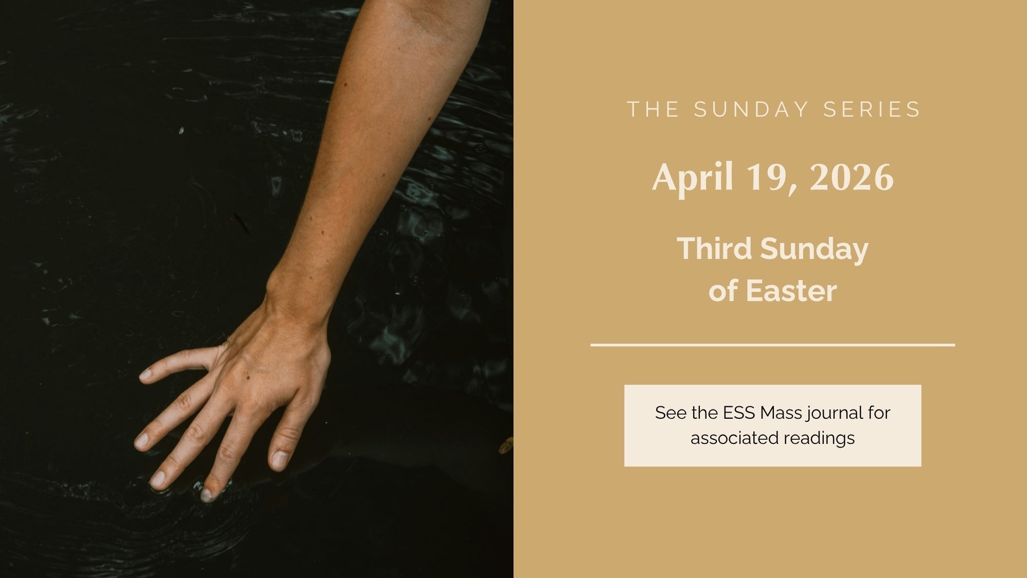 April 19, 2026: Third Sunday of Easter
