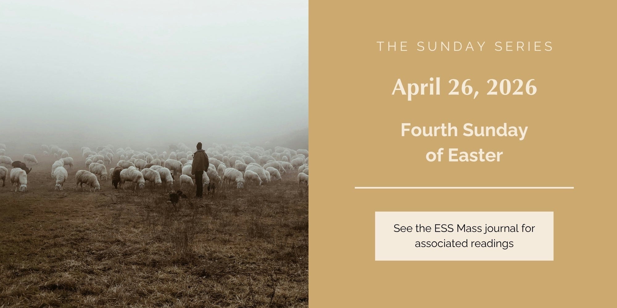 April 26, 2026: Fourth Sunday of Easter