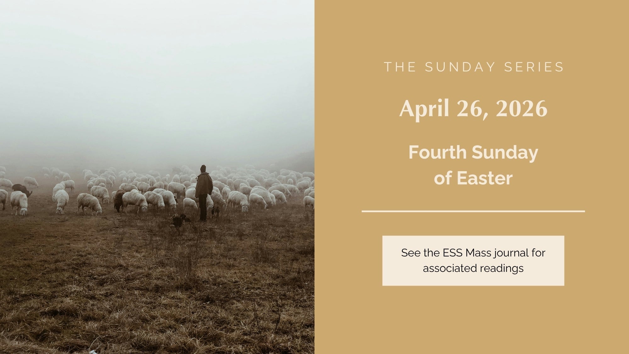April 26, 2026: Fourth Sunday of Easter