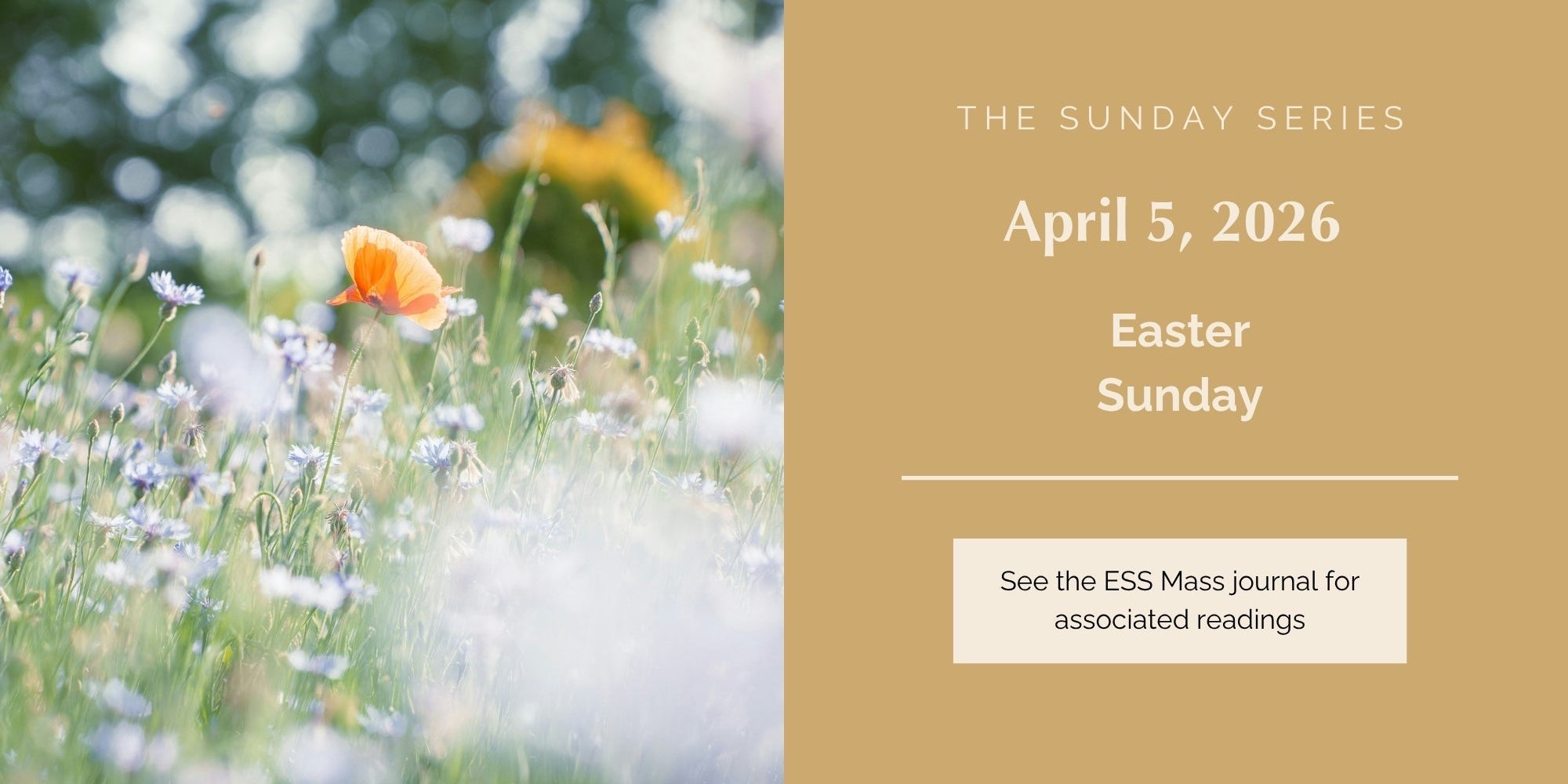 April 5, 2026: Easter Sunday