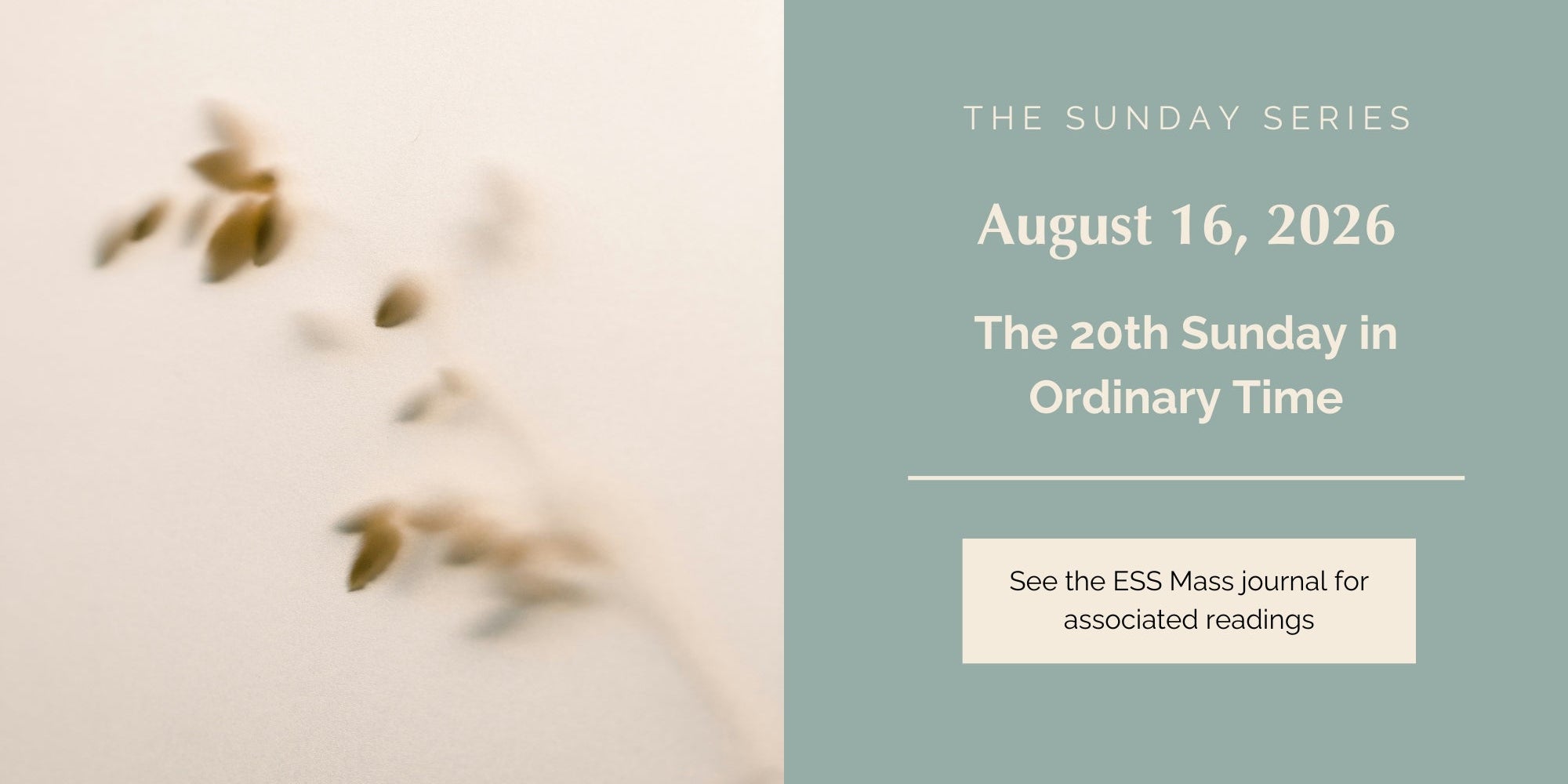 August 16, 2026: Twentieth Sunday in Ordinary Time