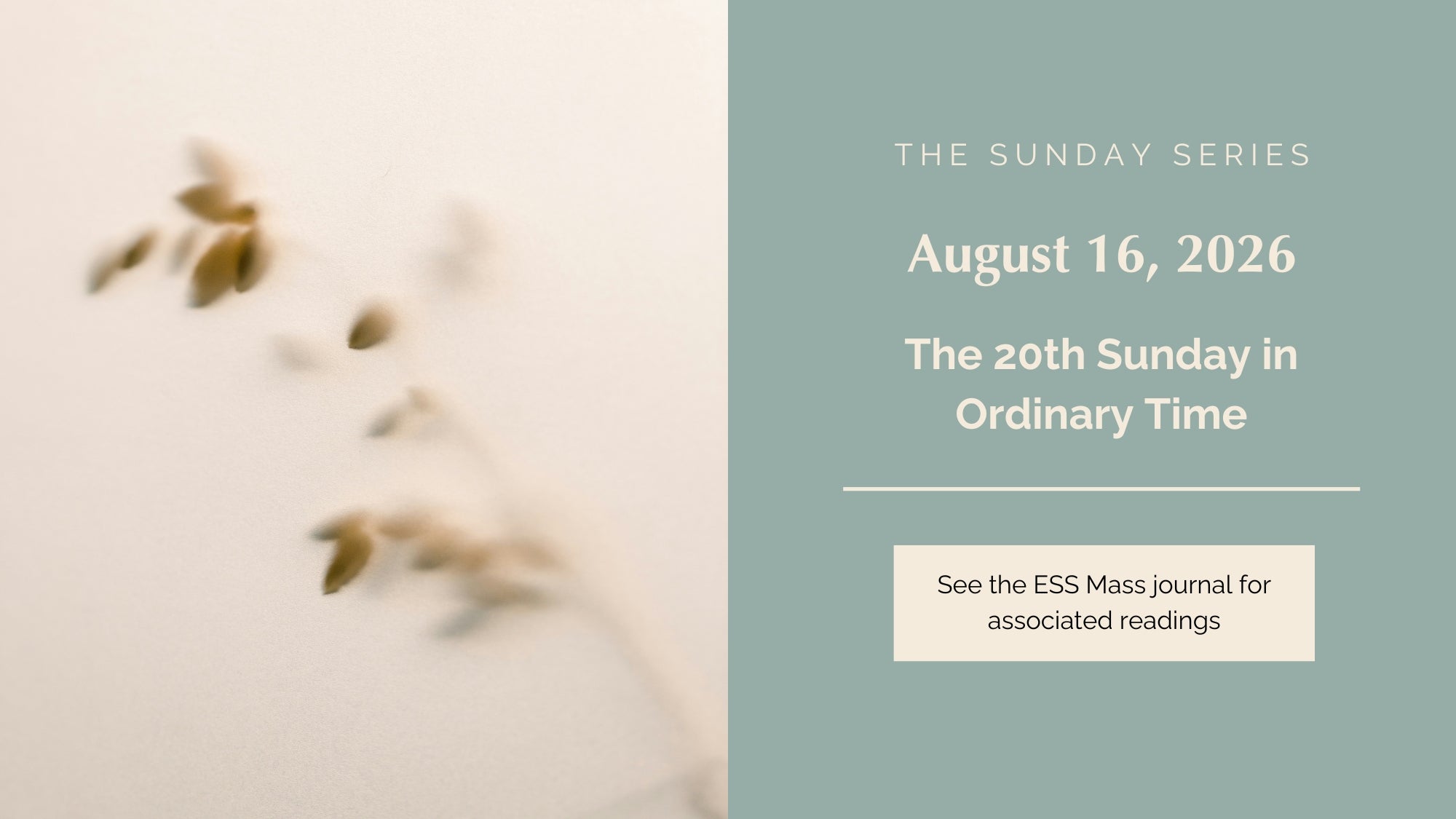 August 16, 2026: Twentieth Sunday in Ordinary Time