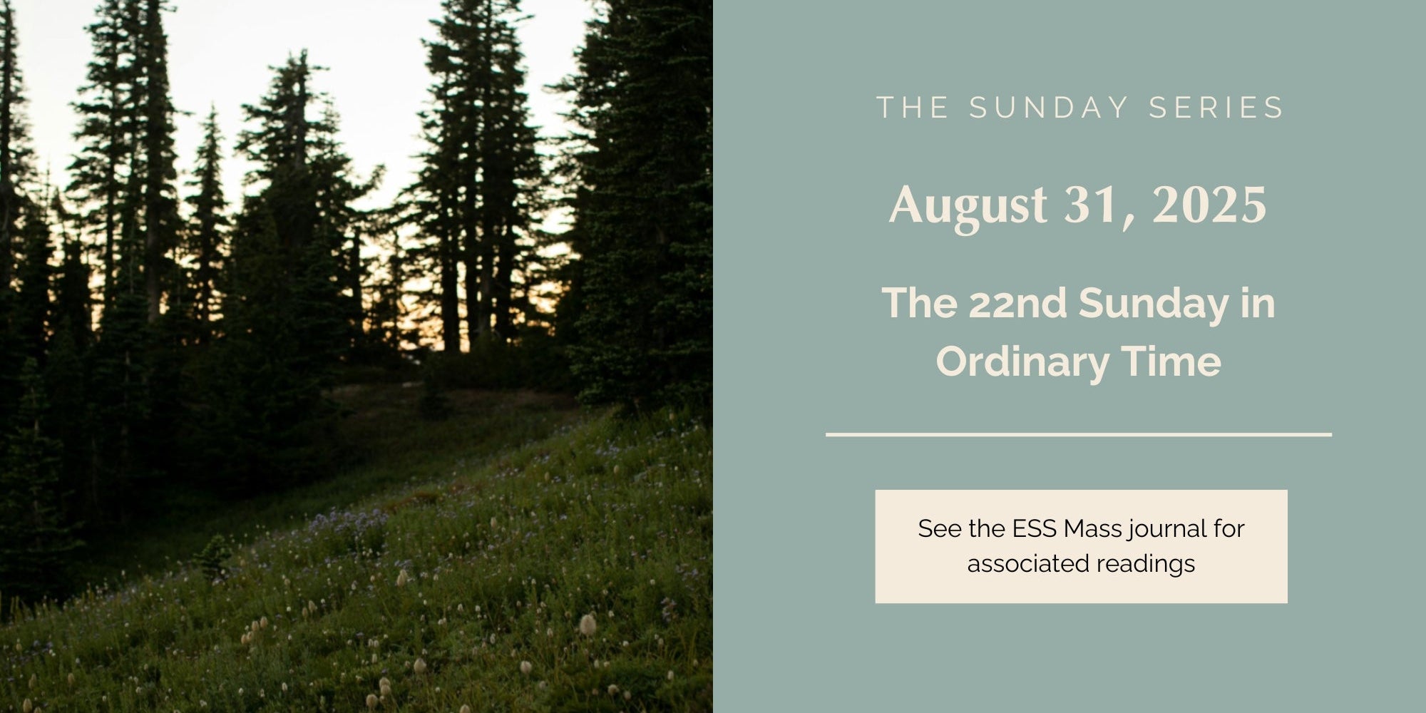 August 31, 2025: Twenty-Second Sunday in Ordinary Time