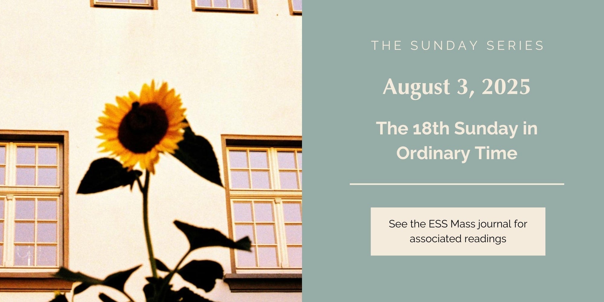 August 3, 2025: Eighteenth Sunday in Ordinary Time