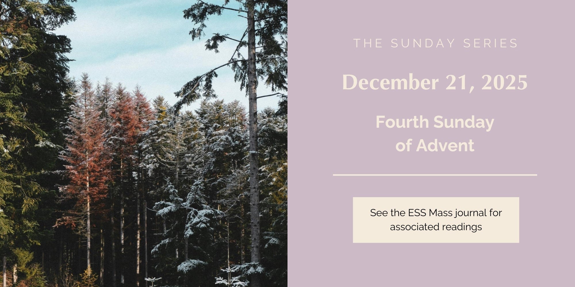 December 21, 2025: Fourth Sunday of Advent