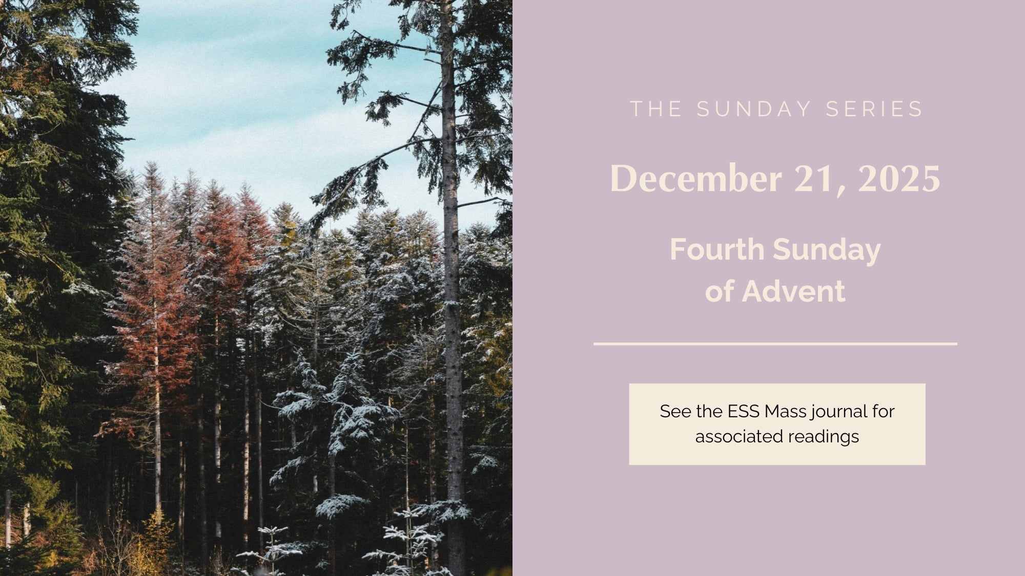 December 21, 2025: Fourth Sunday of Advent