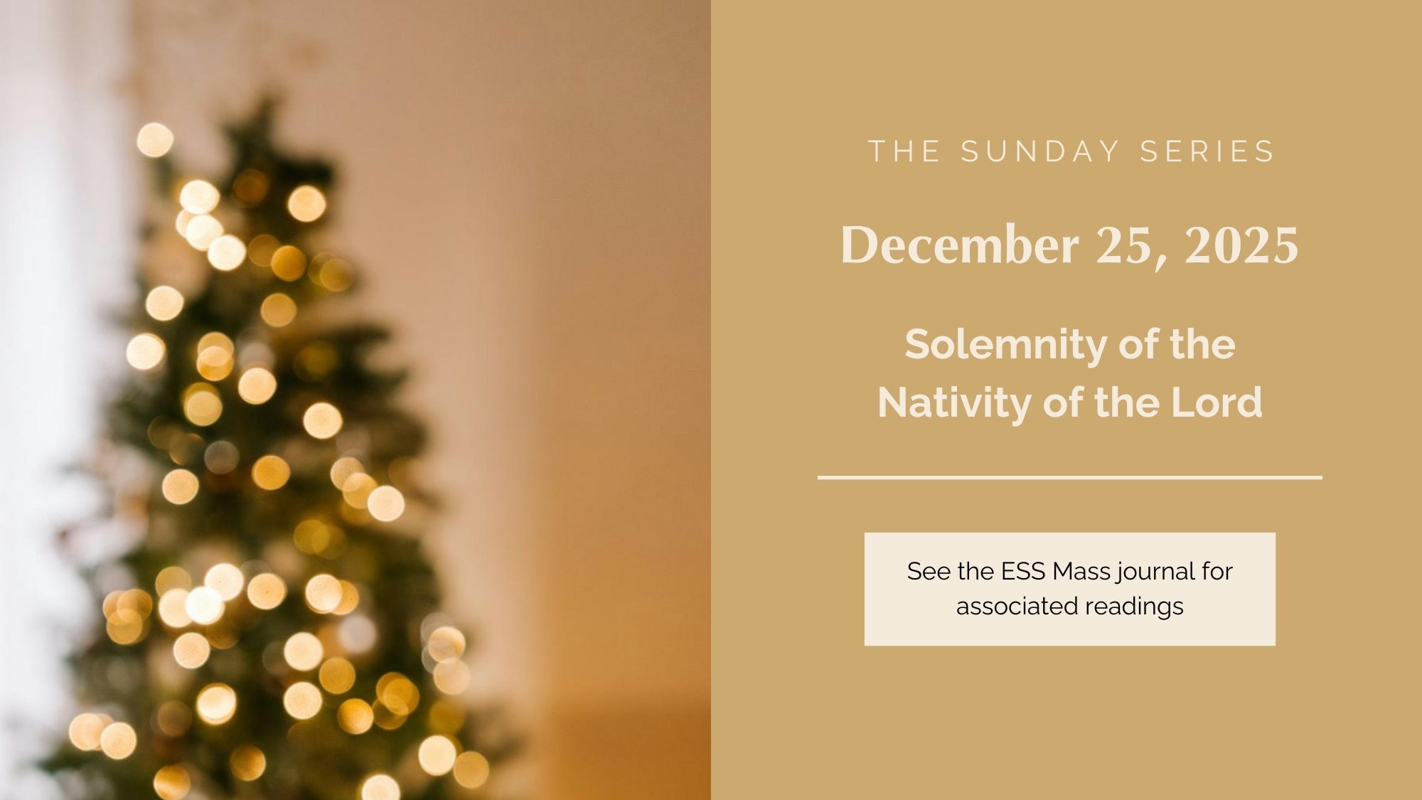 December 25, 2025: Solemnity of the Nativity of the Lord