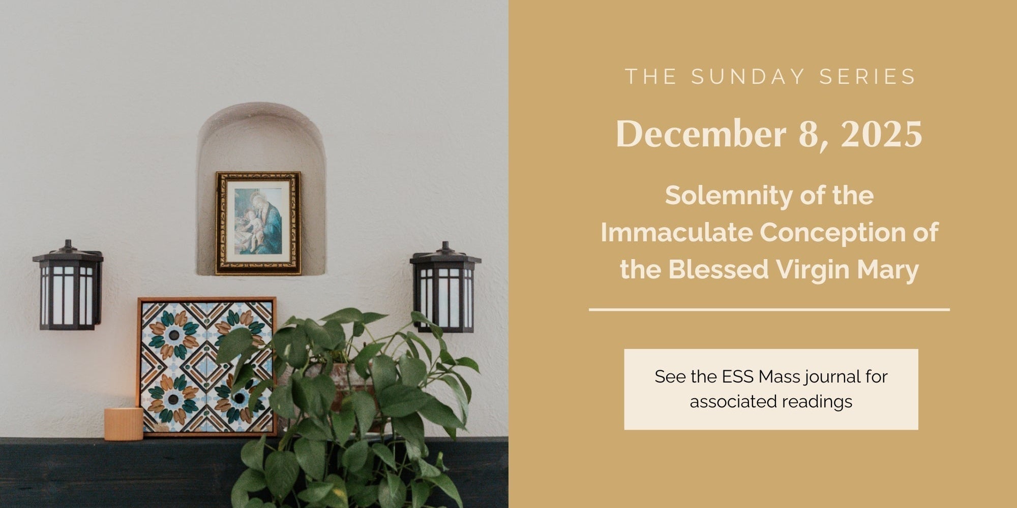 December 8, 2025: Solemnity of the Immaculate Conception of the Blessed Virgin Mary