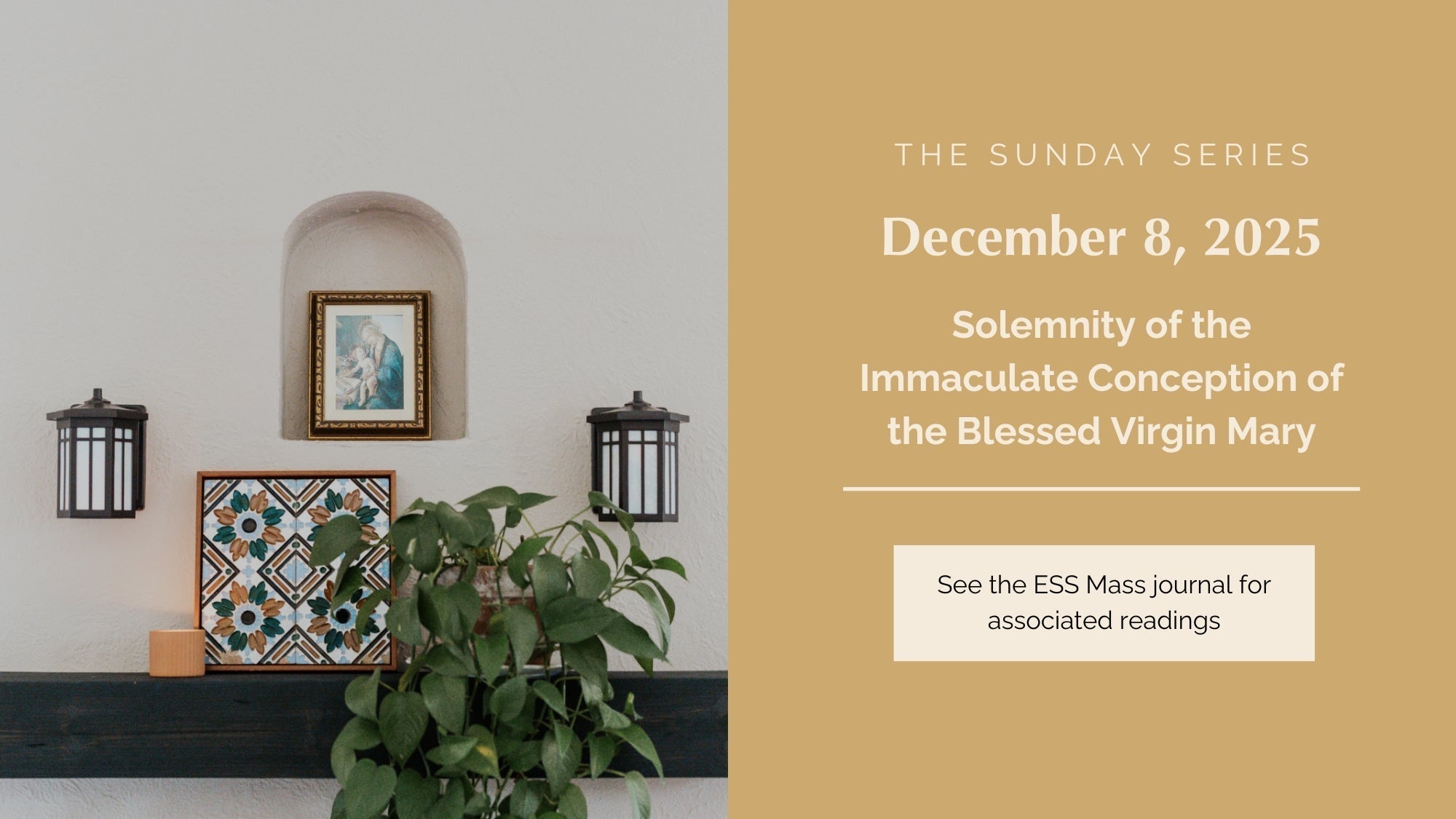 December 8, 2025: Solemnity of the Immaculate Conception of the Blessed Virgin Mary