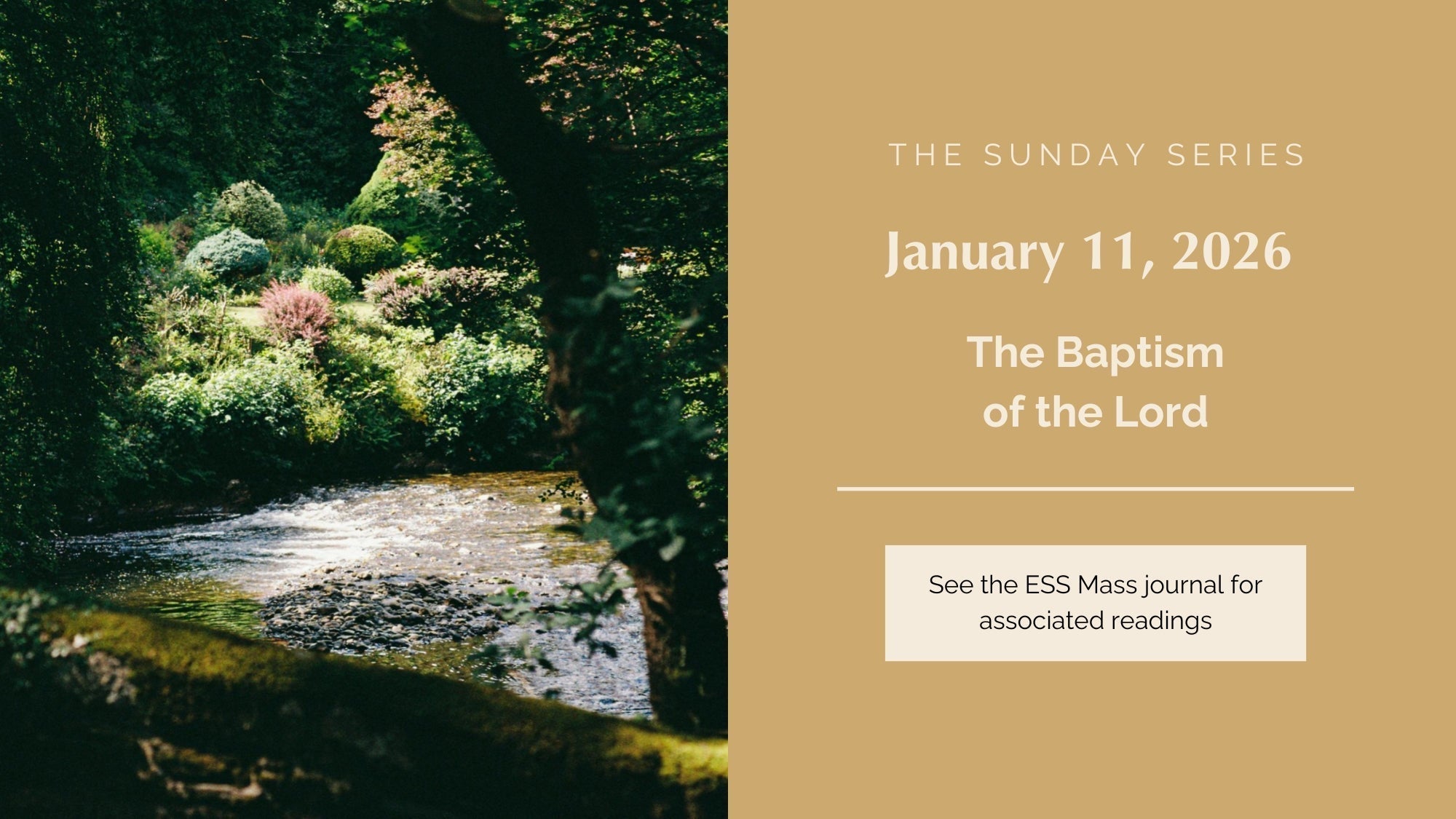 January 11, 2026: The Baptism of the Lord