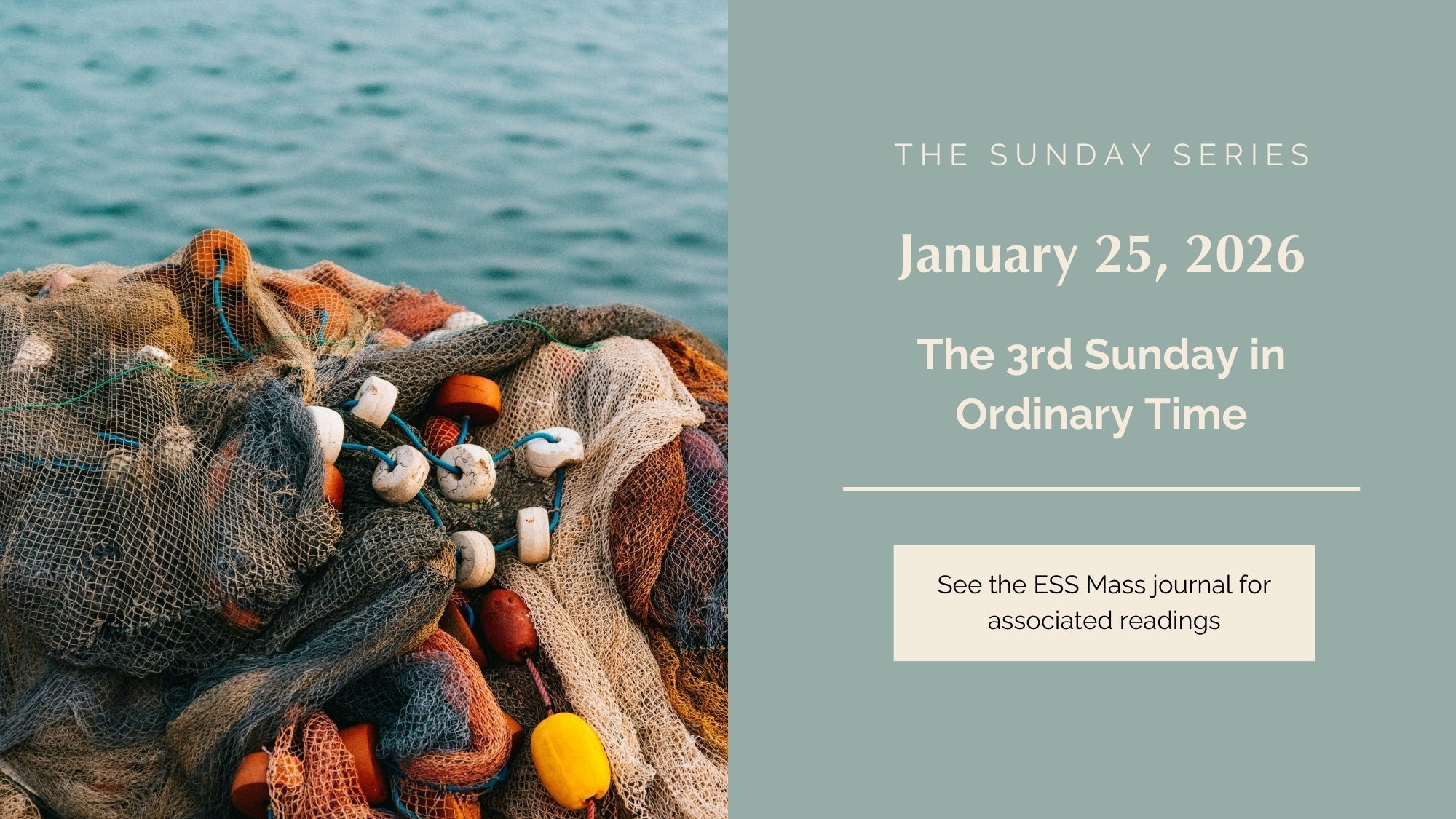 January 25, 2026: Third Sunday in Ordinary Time
