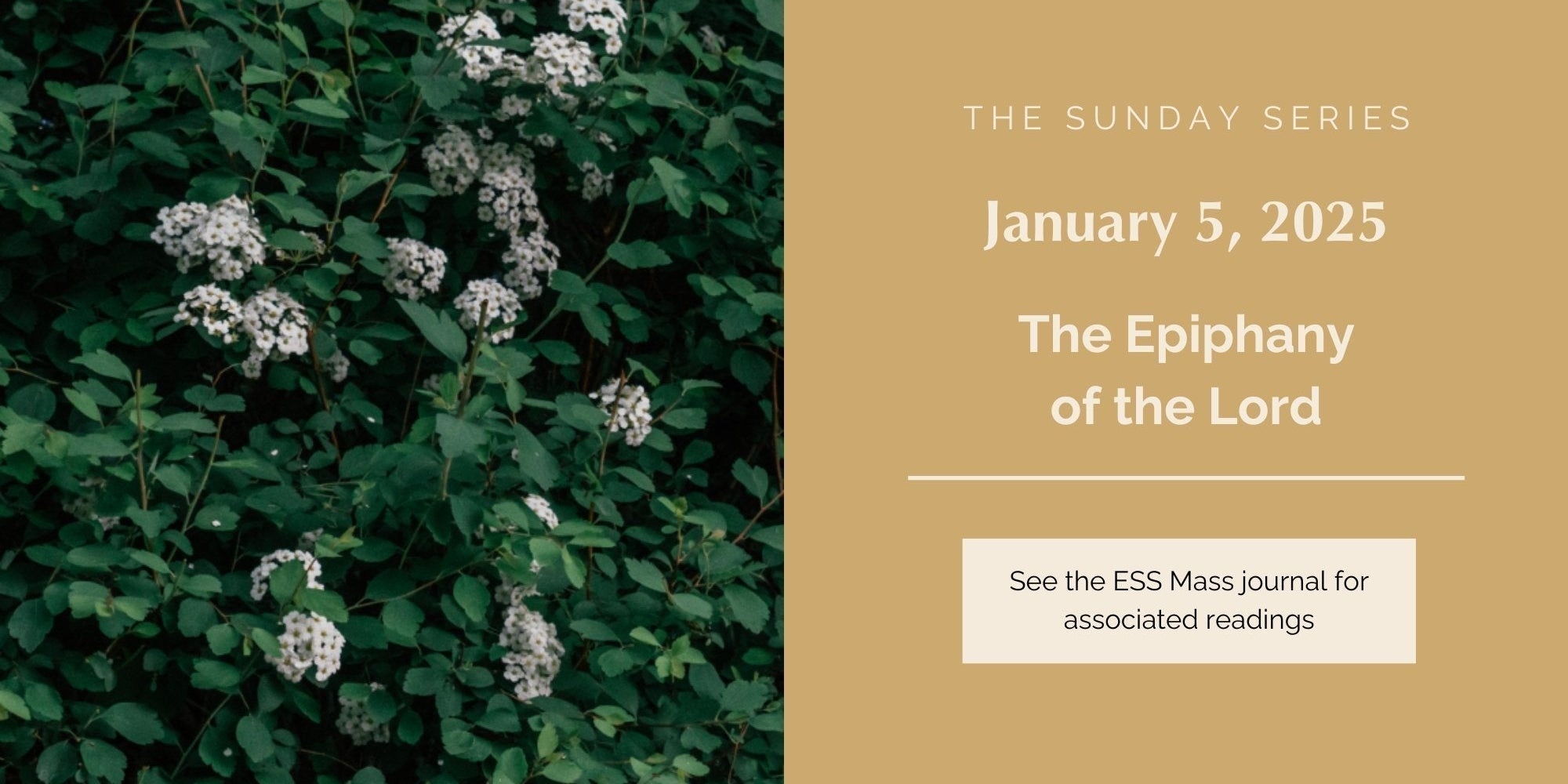 January 5, 2025: The Epiphany of the Lord