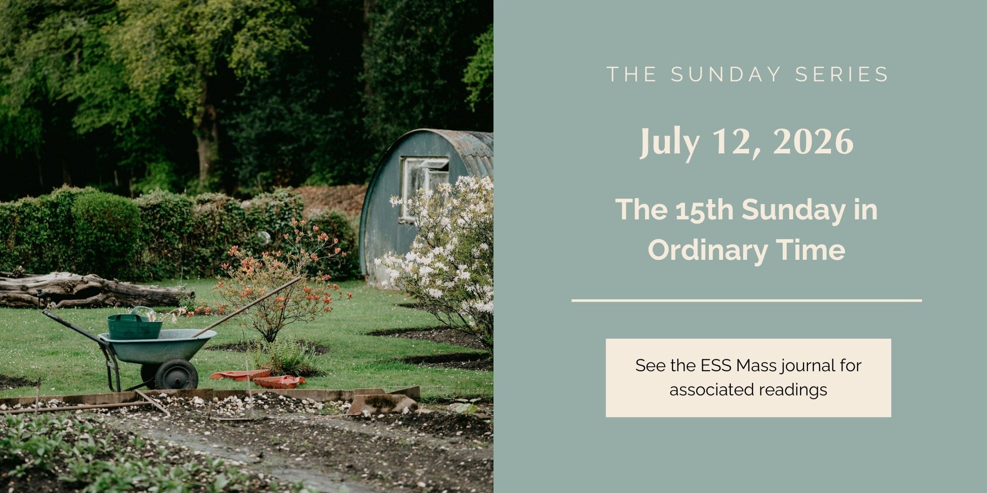 July 12, 2026: Fifteenth Sunday in Ordinary Time