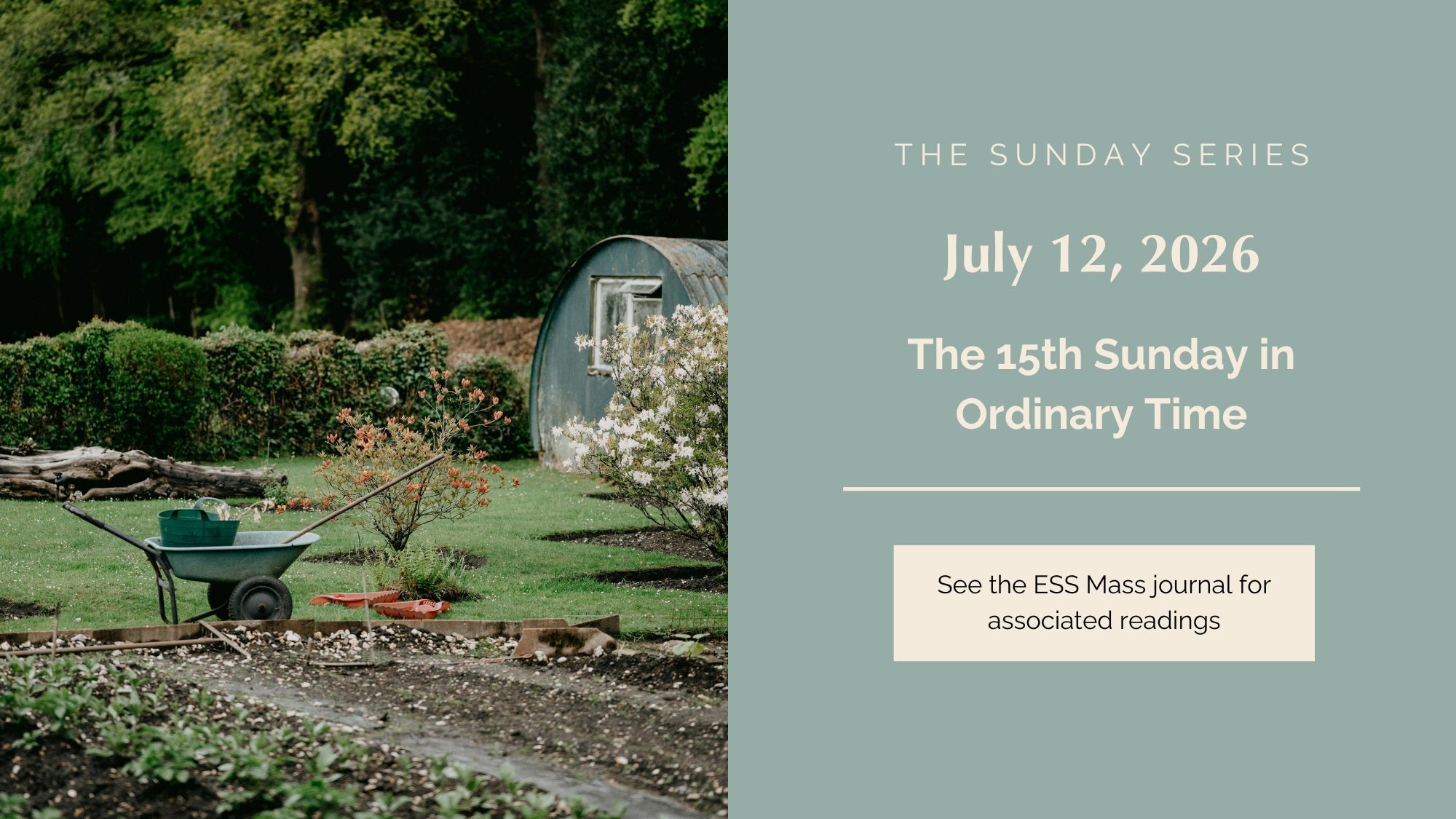 July 12, 2026: Fifteenth Sunday in Ordinary Time