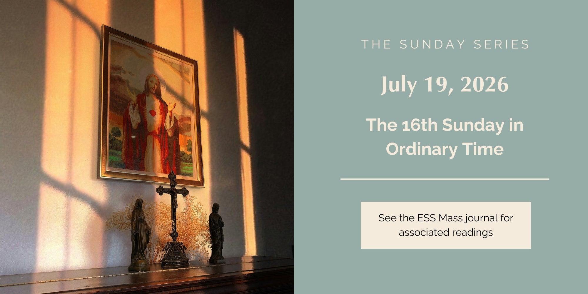 July 19, 2026: Sixteenth Sunday in Ordinary Time