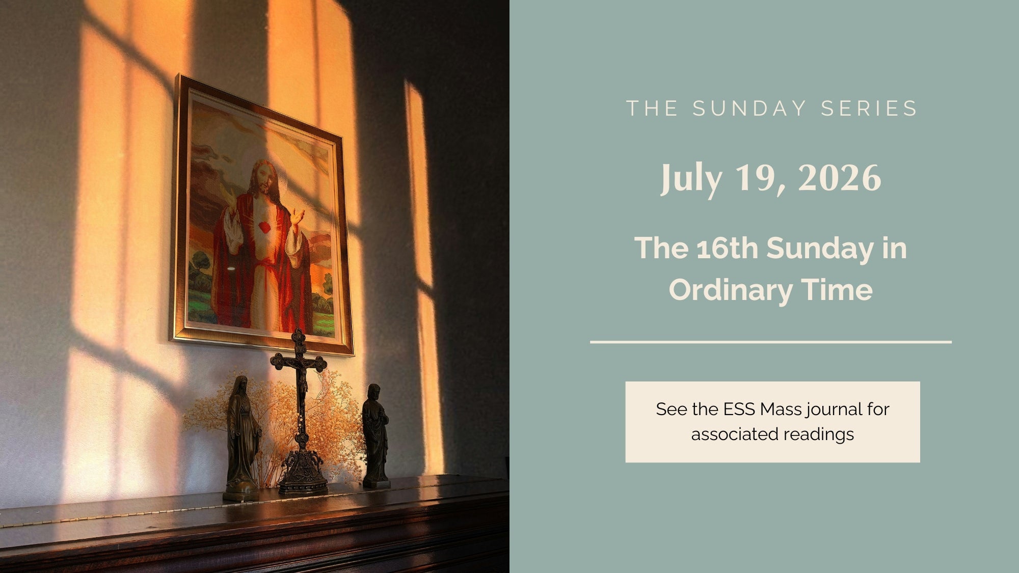 July 19, 2026: Sixteenth Sunday in Ordinary Time