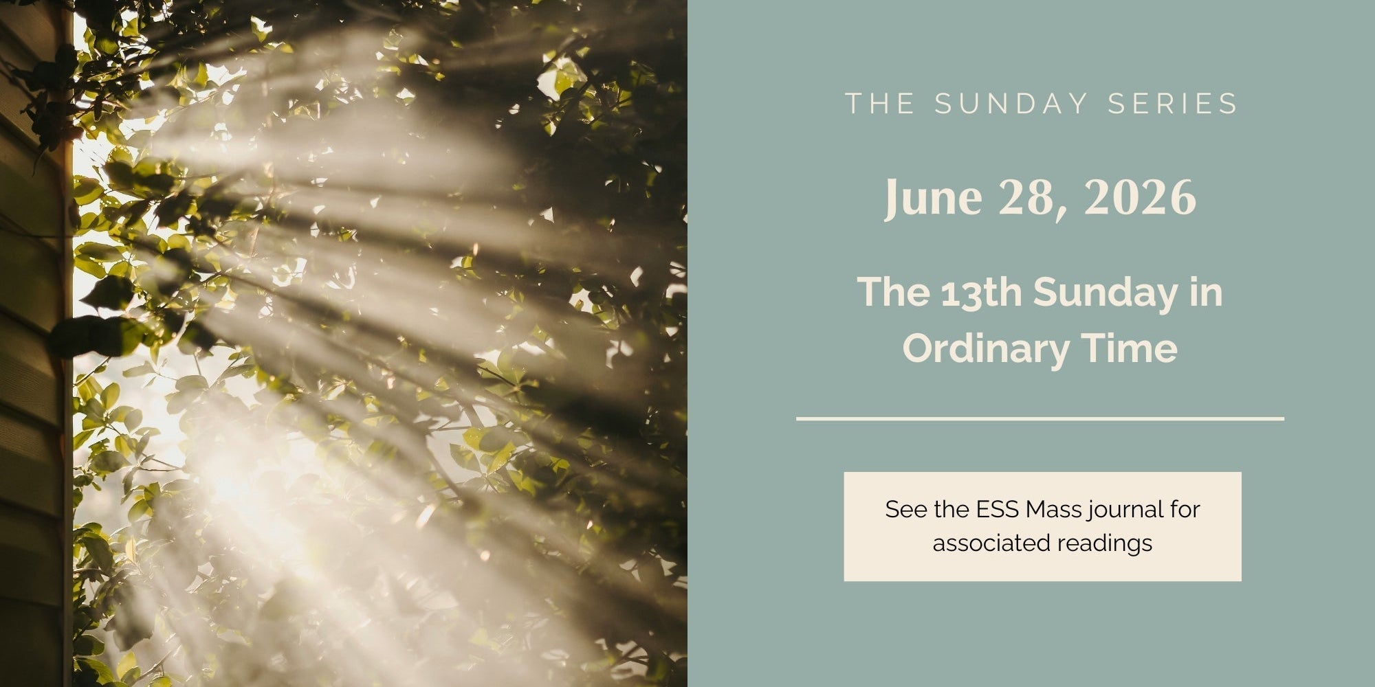 June 28, 2026: Thirteenth Sunday in Ordinary Time