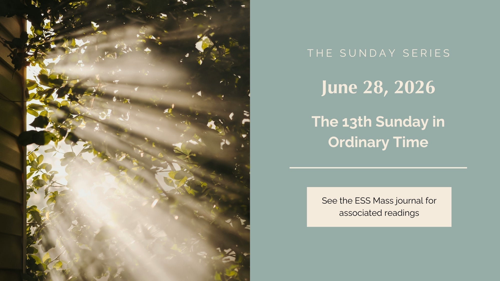 June 28, 2026: Thirteenth Sunday in Ordinary Time