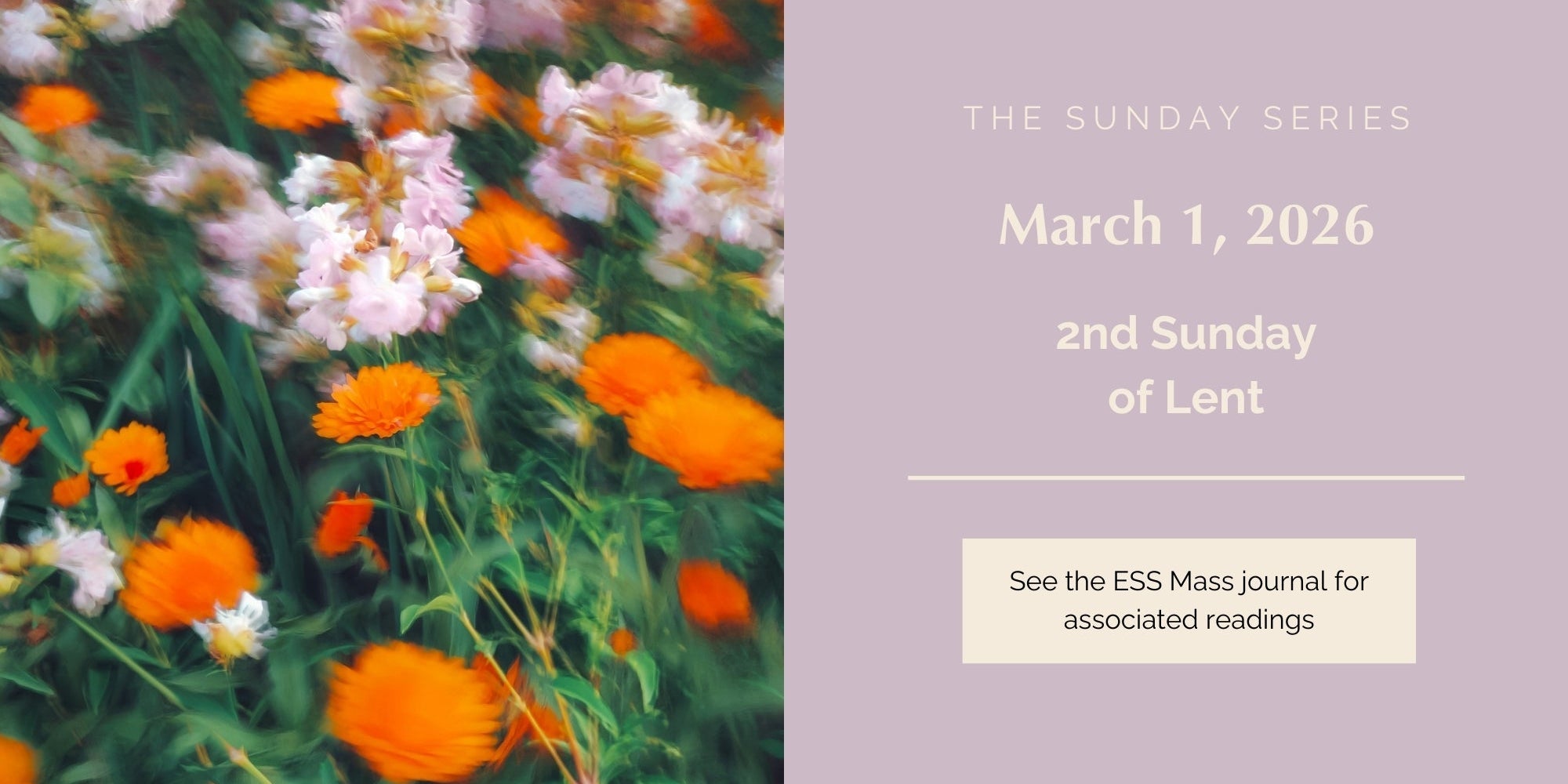 March 1, 2026: Second Sunday of Lent