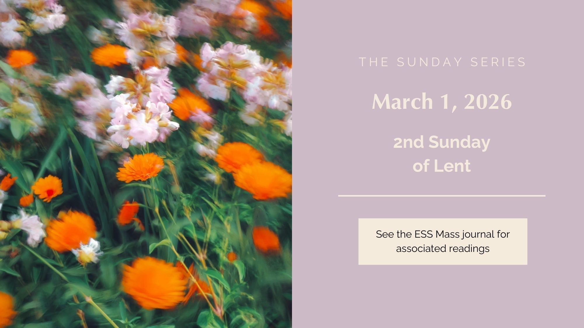 March 1, 2026: Second Sunday of Lent