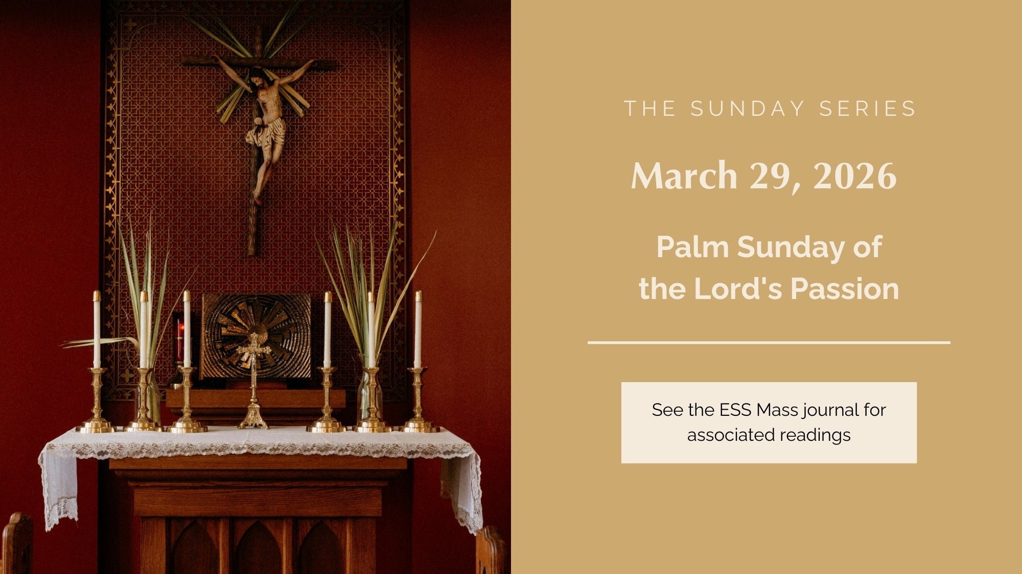 March 29, 2026: Palm Sunday of the Lord's Passion