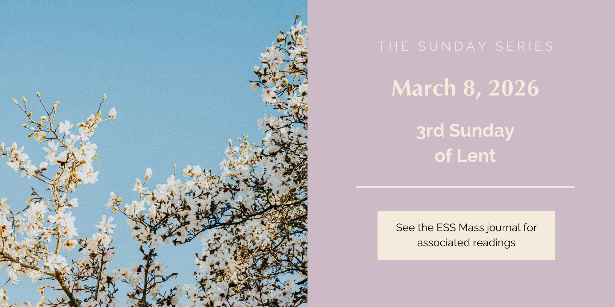 March 8, 2026: Third Sunday of Lent