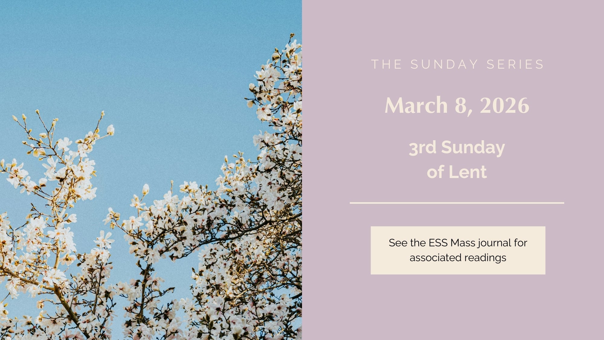 March 8, 2026: Third Sunday of Lent