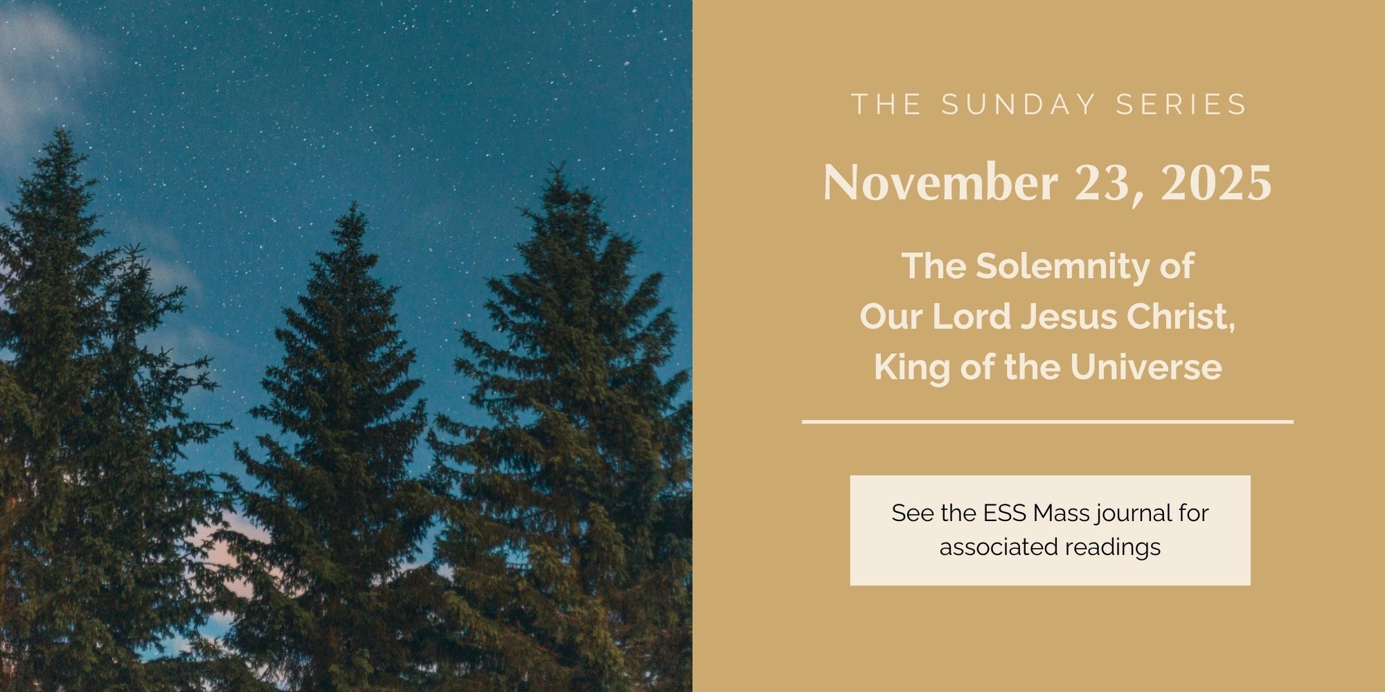 November 23, 2025: The Solemnity of Our Lord Jesus Christ, King of the Universe