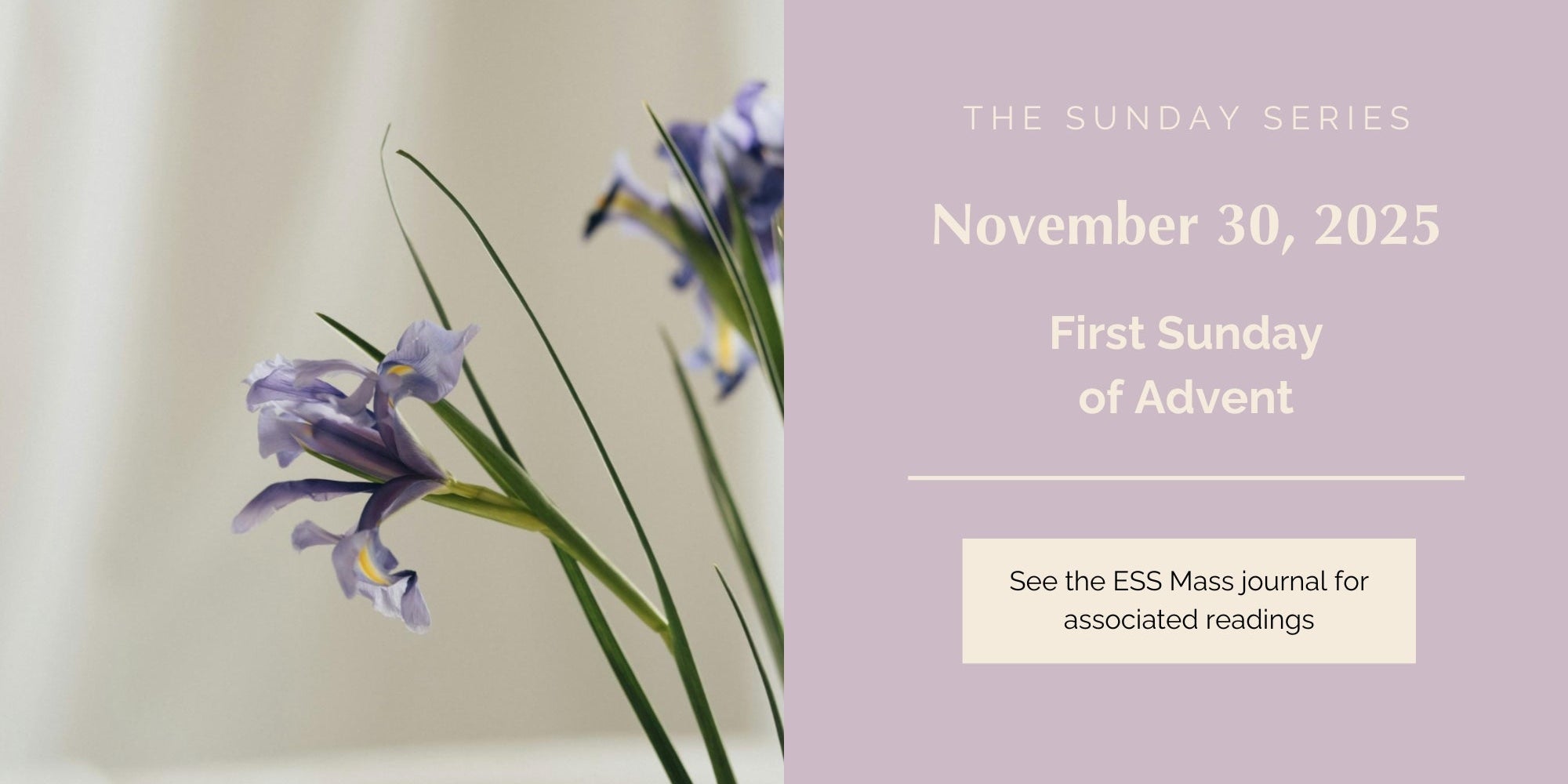 November 30, 2025: First Sunday of Advent