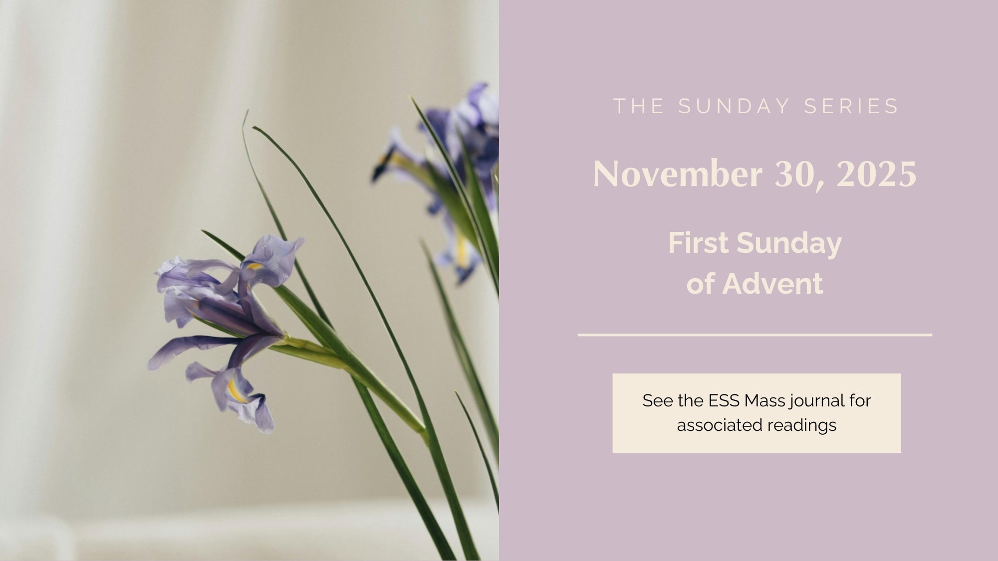 November 30, 2025: First Sunday of Advent
