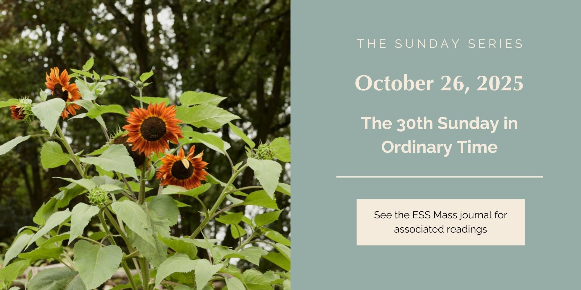 October 26, 2025: Thirtieth Sunday in Ordinary Time