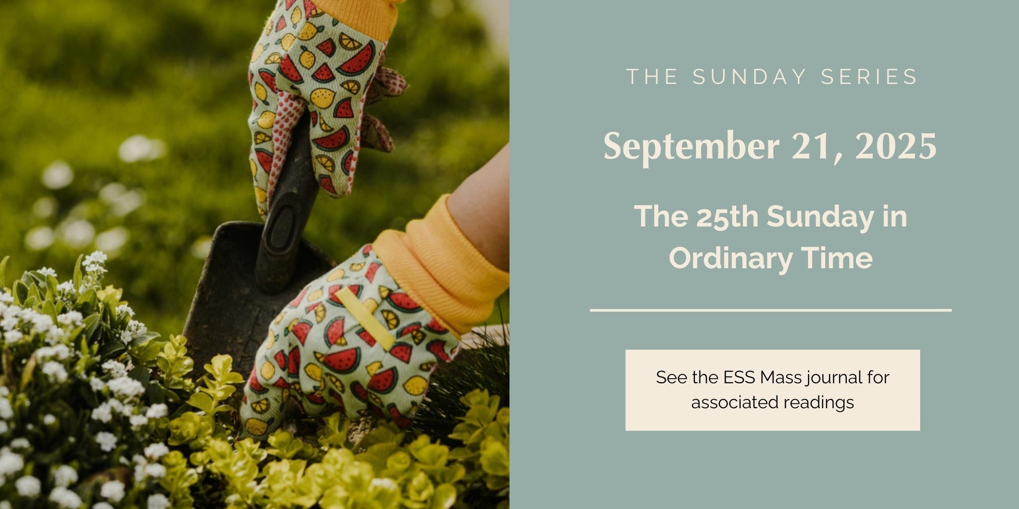 September 21, 2025: Twenty-Fifth Sunday in Ordinary Time